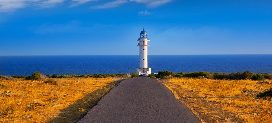 Saborear Formentera… ¡a través de sus vinos!